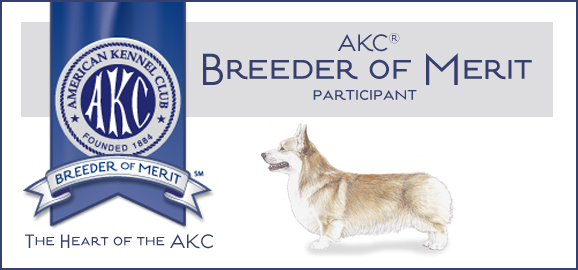 AKC Breeder of Merit participant, Pembroke Welsh Corgi